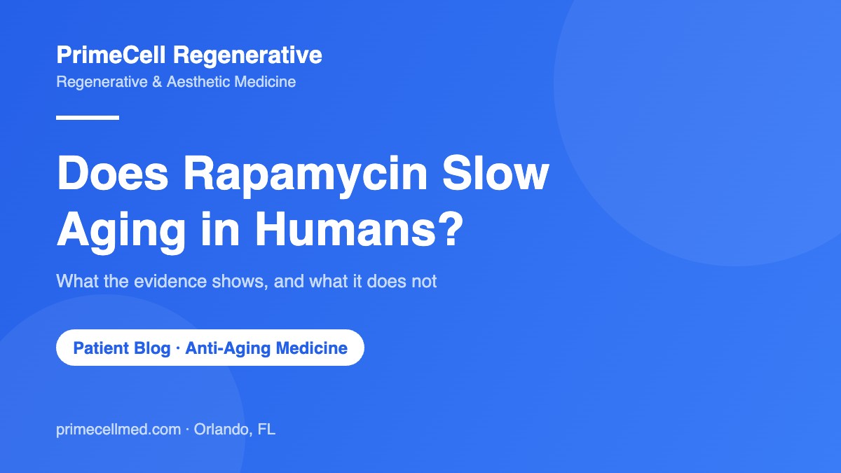 Does Rapamycin Slow Aging in Humans? PrimeCell Regenerative patient blog