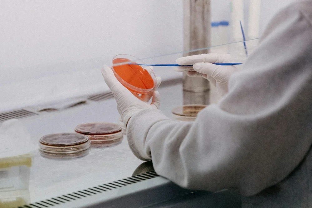 Exosomes vs Mesenchymal Stem Cells