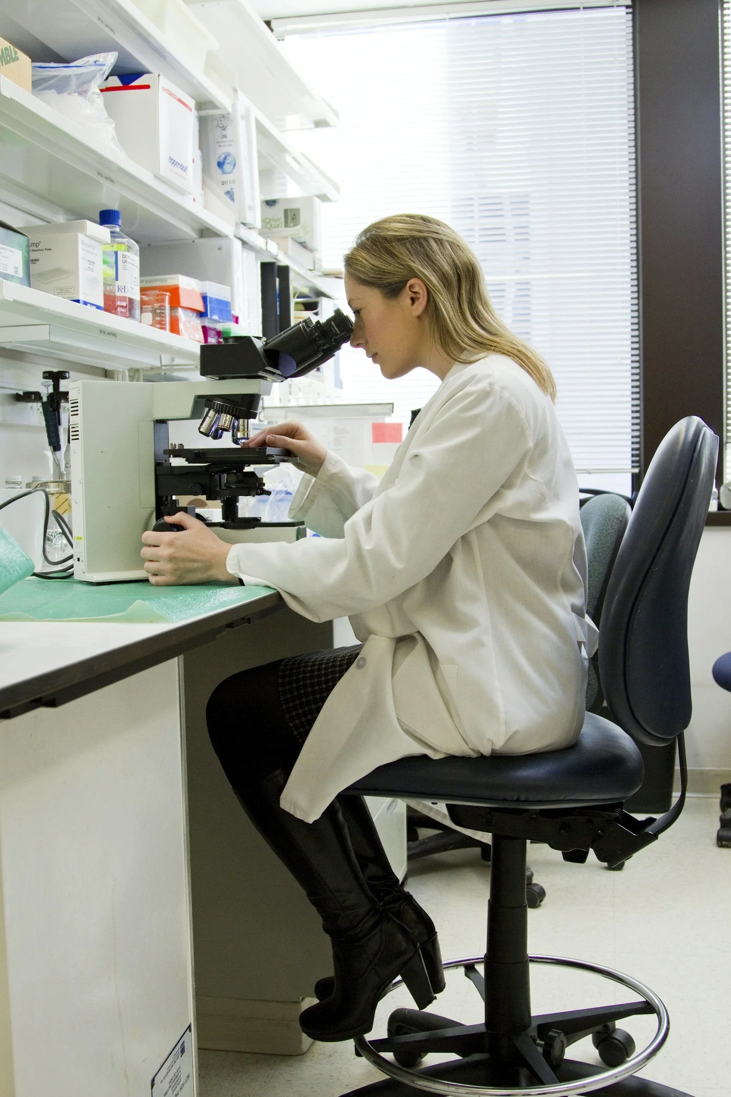 Laboratory researcher examining cell culture samples under a microscope, representing exosome and regenerative-medicine research
